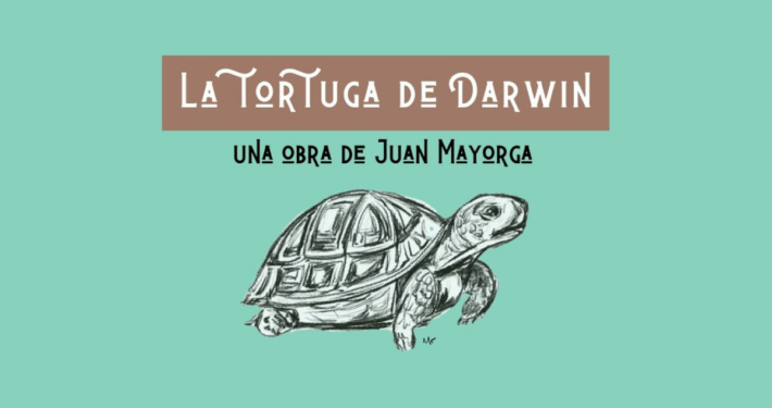 Soles del Sur | La tortuga de Darwin